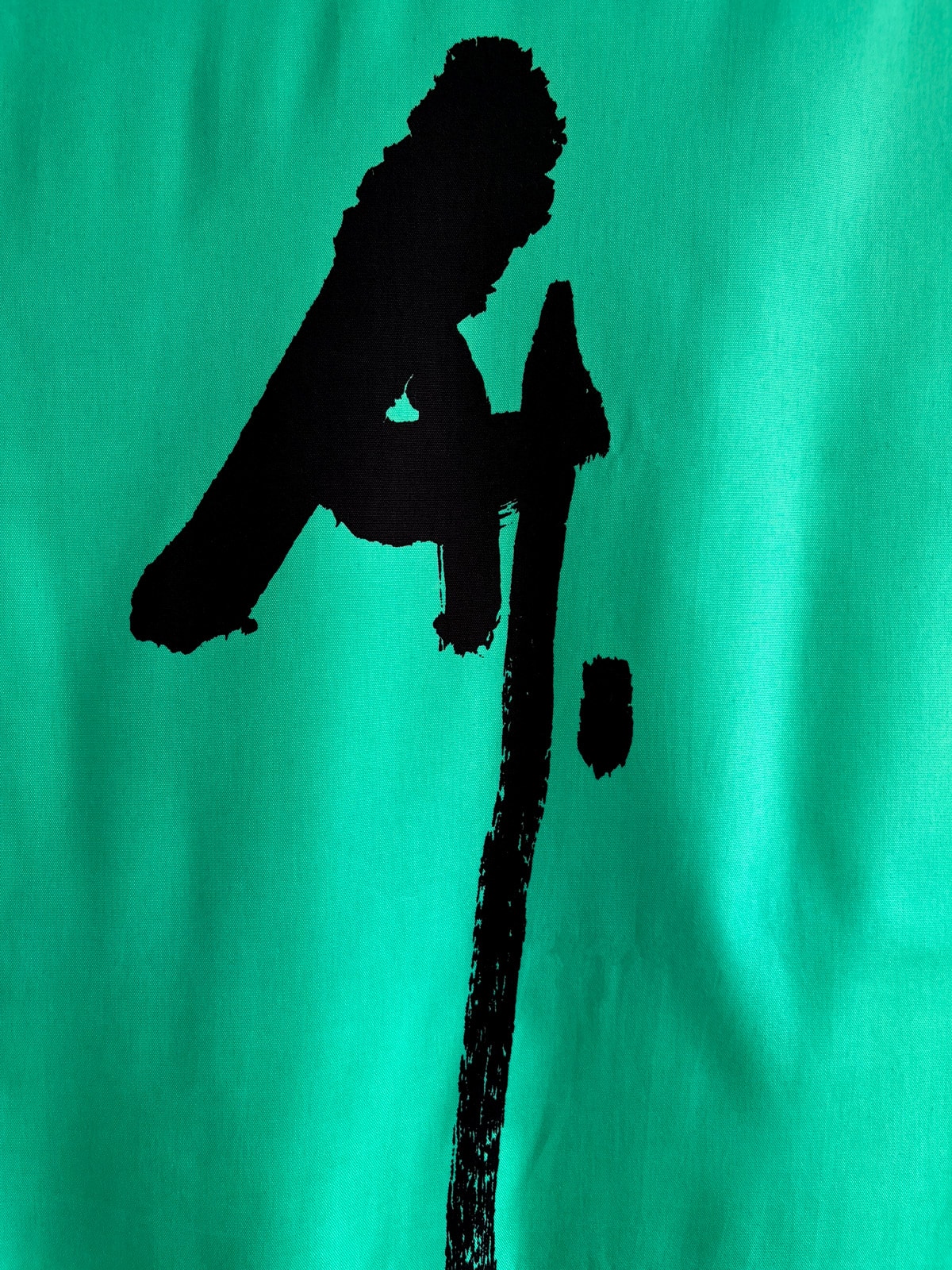 TAKE – Vintage Noren curtain in aqua green